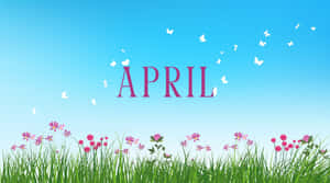 April Springtime Butterfliesand Flowers Wallpaper