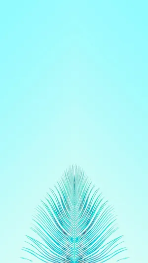 Aqua Green Gradient Wallpaper Wallpaper