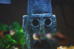 Aquarium Tiki Decoration Blurry Fish Wallpaper