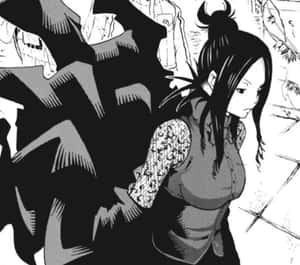 Arachne Gorgon - An Intricate Web Of Deception Wallpaper