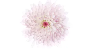 Architectural Sketch Of The World's Most Recognizable Structures Wallpaper