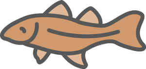 Arctic Cod Cartoon Illustration Wallpaper