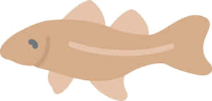 Arctic Cod Illustration Wallpaper