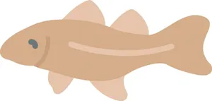 Arctic Cod Illustration Wallpaper
