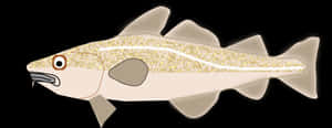 Arctic Cod Illustration Wallpaper