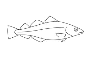 Arctic Cod Line Drawing Wallpaper