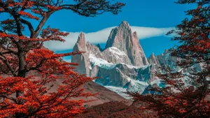 Argentina Fitz Roy Autumn Wallpaper