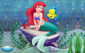 Ariel Explores Her Underwater Kingdom Wallpaper