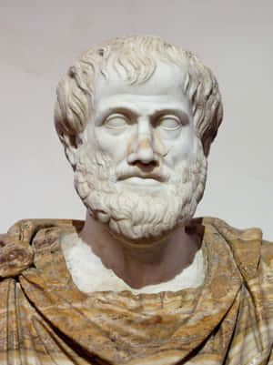 Aristotle 1700 X 2275 Wallpaper