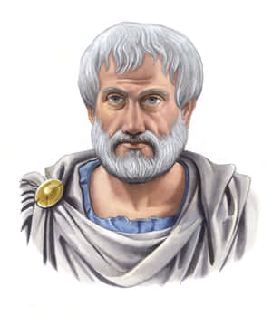 Aristotle 2522 X 2935 Wallpaper