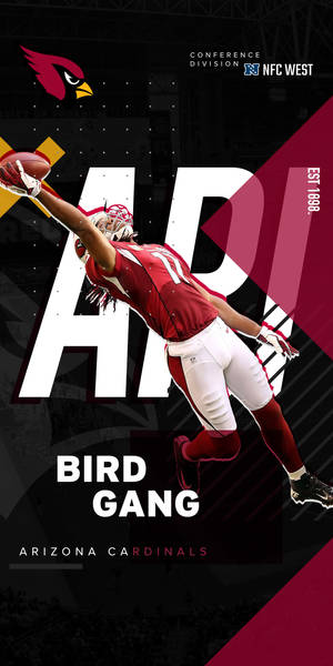 Arizona Cardinals Bird Gang Wallpaper