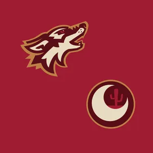 Arizona Coyotes Logo White Crescent Moon Wallpaper