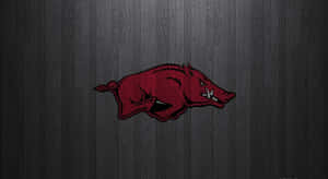 Arkansas Razorbacks Wallpapers Arkansas Razorbacks Wallpapers Wallpaper