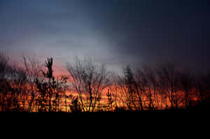 Armagh Sunset Silhouette Wallpaper