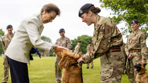 Army Dog Receiving Award Wallpaper