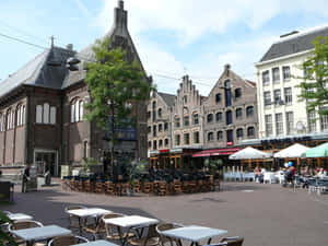 Arnhem City Center Outdoor Cafes Wallpaper