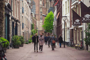 Arnhem Cobblestone Street Scene Wallpaper