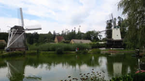 Arnhem Open Air Museum Windmills Reflection Wallpaper