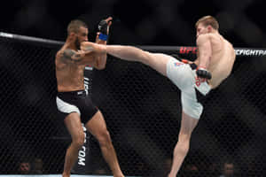 Arnold Allen Makwan Amirkhani Wallpaper