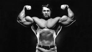 Arnold Schwarzenegger Celebrity Flex Wallpaper