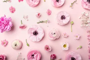 Arrangement Of Tender Pink Flowers Wallpaper