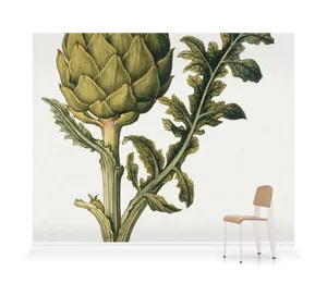 Artichoke Vegetable As A Mural Art Wallpaper