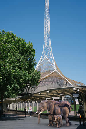 Arts Centre Melbournewith Elephant Statues Wallpaper