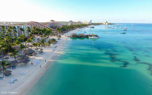 Aruba El Palm Beach Wallpaper