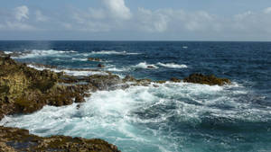 Aruba Rocky Coast Wallpaper