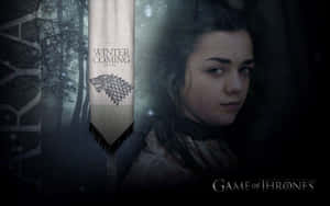 Arya Stark Banner Wallpaper