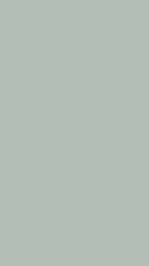 Ash Grey Solid Color Wallpaper