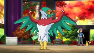 Ash Hawlucha Strong Wallpaper