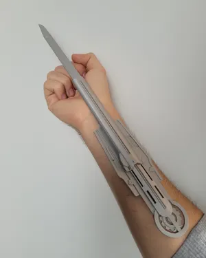 Assassin's Creed Hidden Blades Unleashed Wallpaper