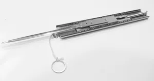 Assassin's Creed: The Deadly Hidden Blades Wallpaper