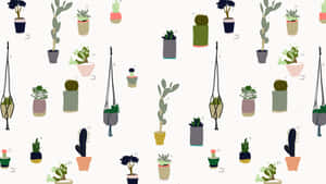 Assorted Indoor Cactiand Succulents Pattern Wallpaper