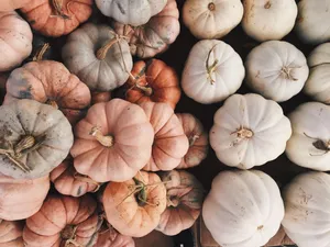 Assorted Pumpkins Autumn Display.jpg Wallpaper