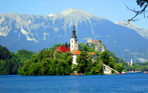 Assumption Of Mary Church Viewed From Lake Bled Wallpaper