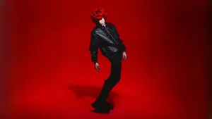 Asteria Bold Fashion Statement Wallpaper