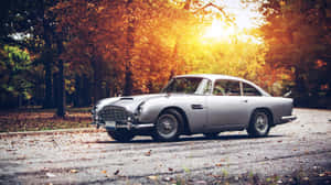 Aston Martin Db5 Classic Beauty Wallpaper