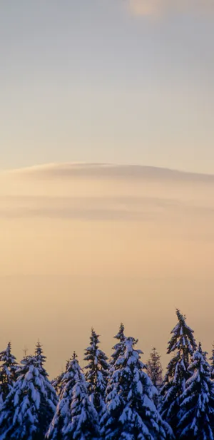 Astonishing View Of A Colorado City Sunrise Wallpaper