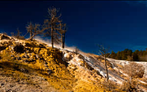 'astonishing Views Of Yellowstone' Wallpaper