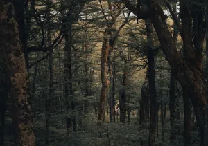 At The Forefront Of Technology Wallpaper