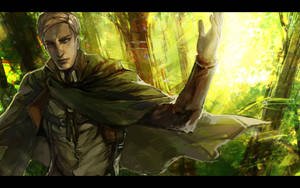 Attack On Titan Erwin Smith Wallpaper