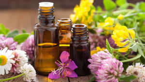 Attain Balance And Peace With Essential Oils Wallpaper