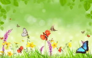 Attract Butterflies To Your Garden With Colorful Plants! Wallpaper
