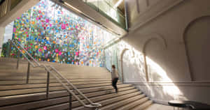 Auckland Art Gallery Colorful Glass Wall Wallpaper