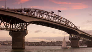 Auckland Harbour Bridge Dusk Sailing Wallpaper