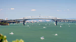 Auckland Harbour Bridge Sunny Day Wallpaper