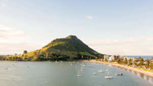 Auckland_ Mount_ Maunganui_ Beachfront_ View Wallpaper