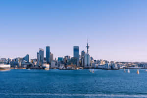 Auckland Skyline Dusk Sailing Wallpaper